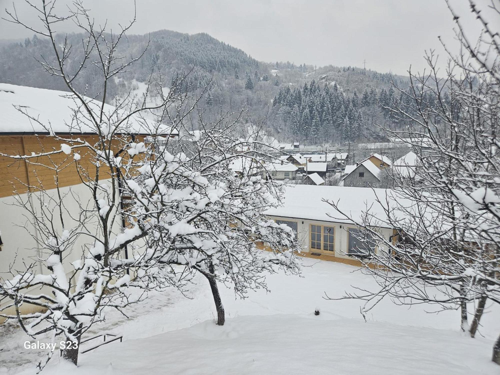 Отель Casa Mara Вишеу-де-Сус Экстерьер фото