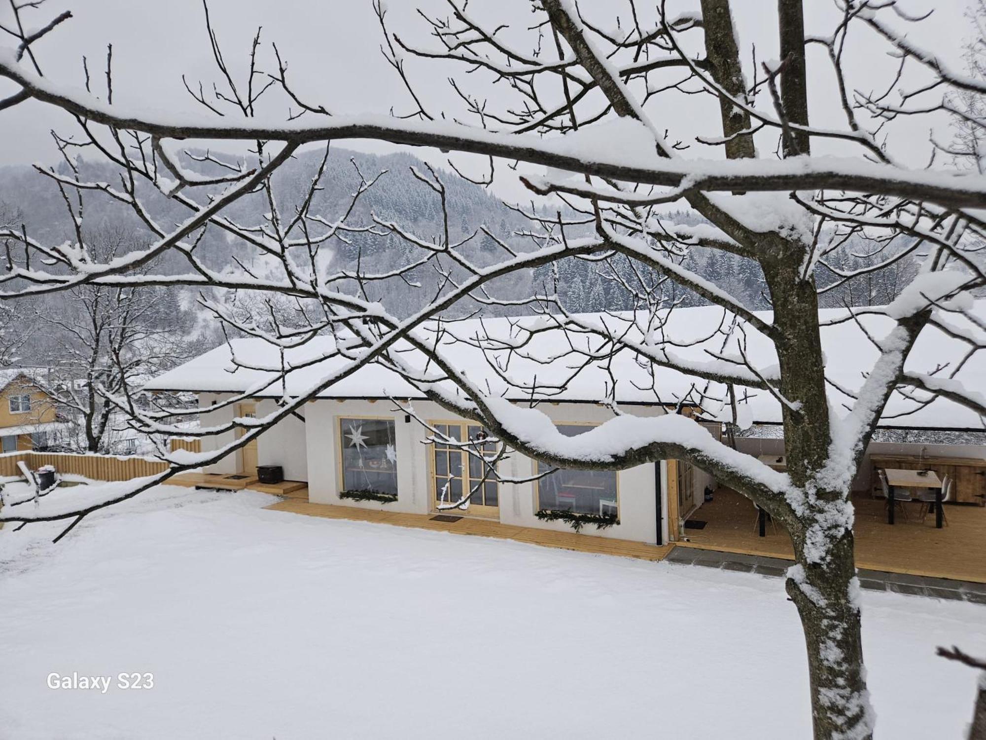Отель Casa Mara Вишеу-де-Сус Экстерьер фото